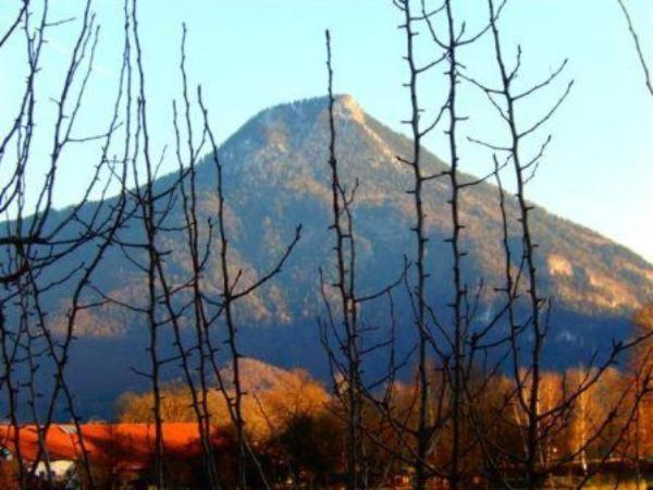 Zaissererhof Бранненбург Номер фото